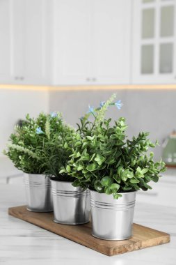 Mutfaktaki beyaz mermer masada farklı yapay saksı bitkileri var.