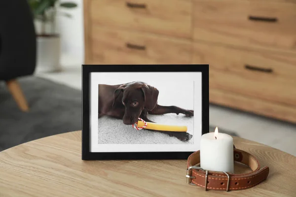 Frame with picture of dog, collar and burning candle on wooden table indoors. Pet funeral