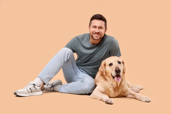 愛らしいラブラドールを持つ男ベージュの背景に犬を取得します 可愛いペット — ストック写真