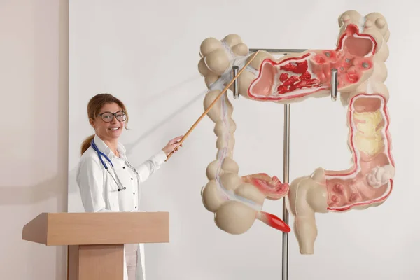 消化器病学の講義をする教授 大腸のイラスト付き投影画面 — ストック写真