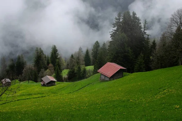 霧に覆われた森の近くの建物と谷の絵のような景色 — ストック写真
