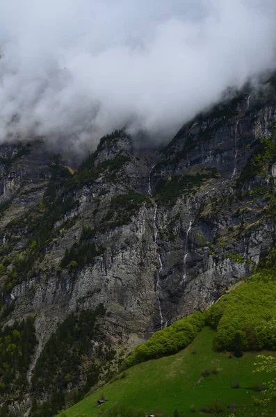霧に覆われた山の中の緑の木の眺め — ストック写真