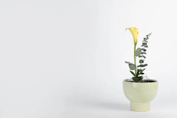 Ikebana Élégant Comme Décor Maison Belle Fleur Calla Fraîche Branche — Photo