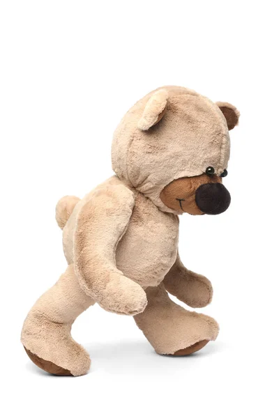 Cute Teddy Bear Walking White Background — Stock Photo, Image