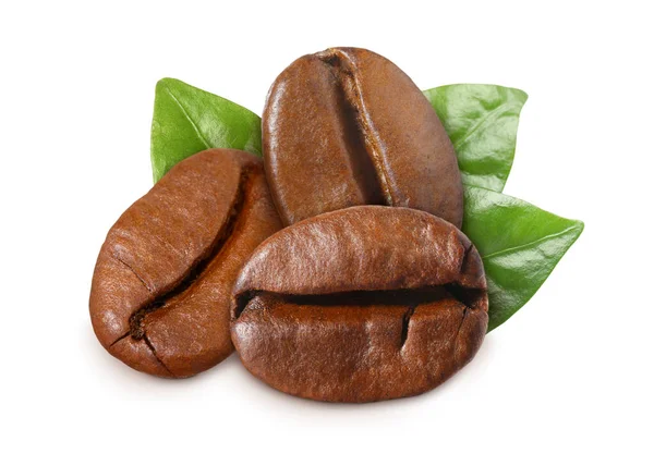Fresh Roasted Coffee Beans Leaves White Background — Stock Photo, Image