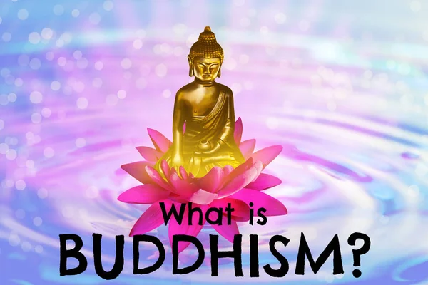 Lotus Blomma Med Buddha Figur Vatten Och Text Vad Buddhismen — Stockfoto