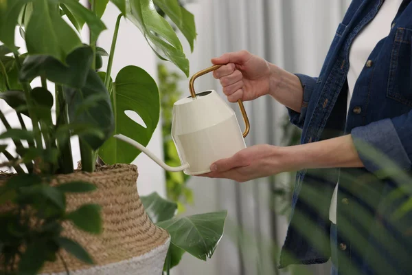 stock image Woman watering beautiful potted houseplants at home, closeup