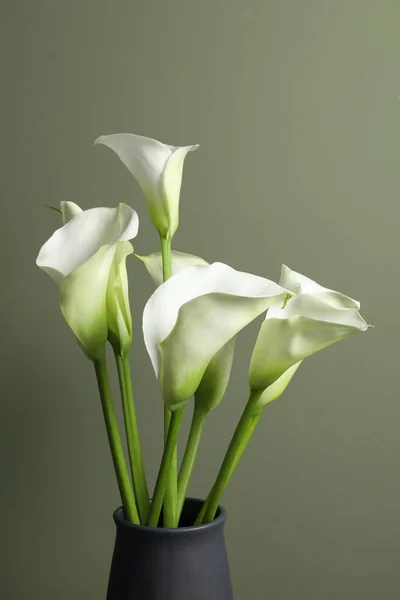 Красивые Калла Лилия Цветы Вазе Оливковом Фоне — стоковое фото