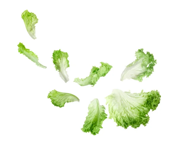 Friss Zöld Saláta Levelek Repülő Fehér Háttér — Stock Fotó