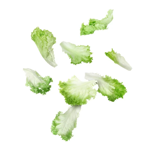 Verse Groene Sla Bladeren Vallen Witte Achtergrond — Stockfoto