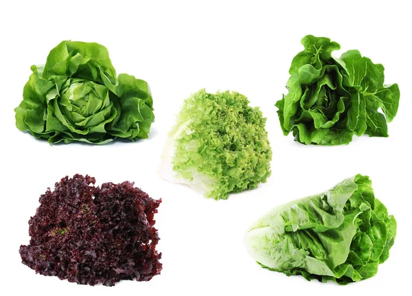 Verschiedene Salatsorten Isoliert Auf Weiß Collage Design — Stockfoto