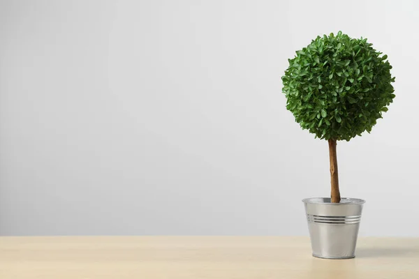 stock image Beautiful artificial tree in flower pot on wooden table against light grey background, space for text