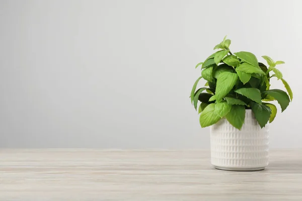ライトグレーの背景に木製のテーブルの上の花の鍋に美しい人工植物 テキストのためのスペース — ストック写真