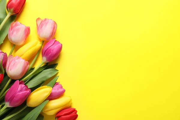 Beautiful Colorful Tulip Flowers Yellow Background Flat Lay Space Text — Stock Photo, Image