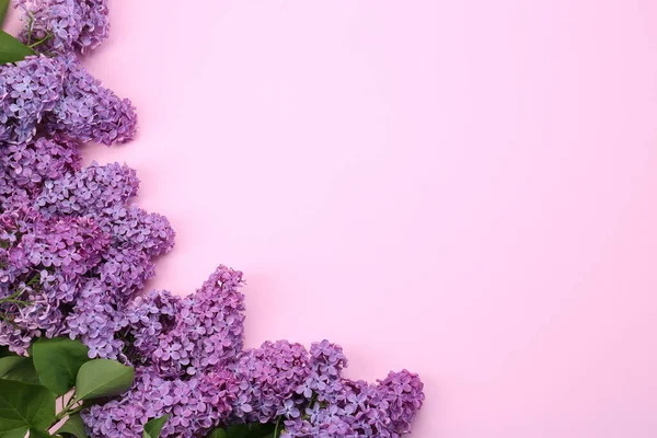 Schöne Fliederfarbene Blüten Auf Blassrosa Hintergrund Draufsicht Raum Für Text — Stockfoto