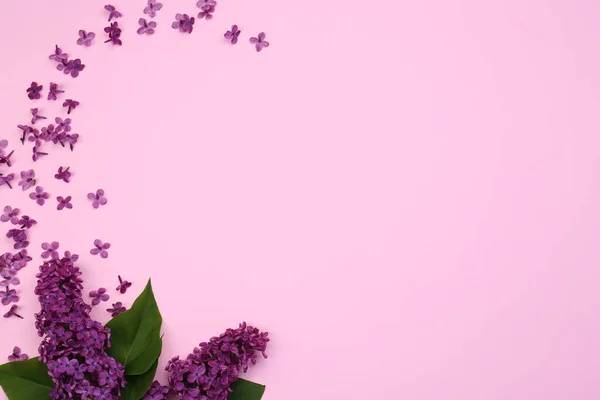 Flache Komposition Mit Schönen Lila Blüten Und Grünen Blättern Auf — Stockfoto