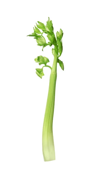 Čerstvé Stonky Celeru Izolované Bílém — Stock fotografie