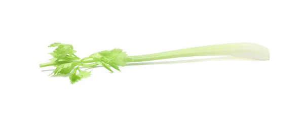 鲜绿色芹菜茎 白色隔离 — 图库照片