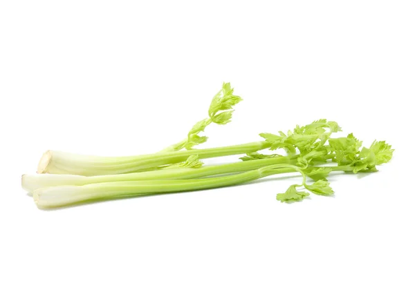 Čerstvý Zelený Celer Stonky Izolované Bílém — Stock fotografie