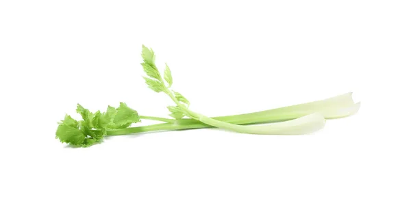 Fresh Green Celery Stems Isolated White — Stock Photo, Image