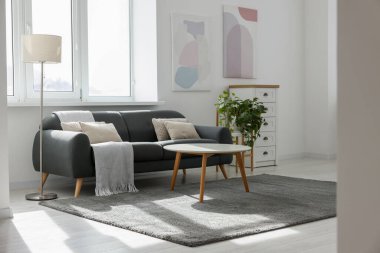 Gri kanepesi, beyaz sehpası ve lambası olan şık bir oturma odası. İç tasarım