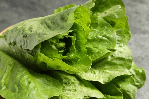 Fresh Green Romaine Lettuces Blurred Background Closeup — Stock Photo, Image