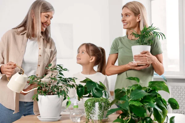 Tre Generationer Lycklig Mormor Hennes Dotter Och Barnbarn Vattna Krukväxter — Stockfoto