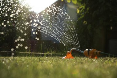 Bahçede güneşli bir günde yeşil çimenleri sulayan otomatik fıskiye. Sulama sistemi