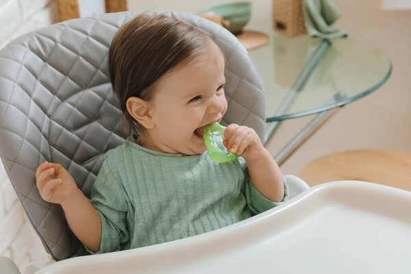 Cute little baby nibbling teether in high chair indoors
