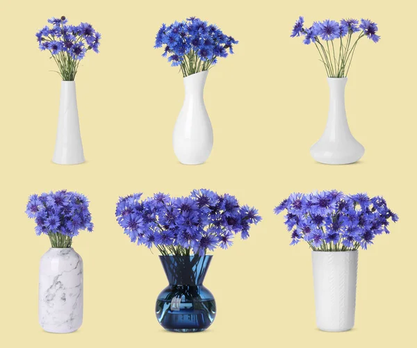 Soluk sarı arka planda güzel çiçek buketleri olan şık vazoların kolajı