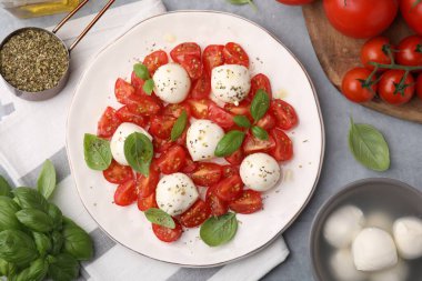 Domatesli Caprese salatası, mozzarella topları, fesleğen ve malzemeler gri arka planda, düz yerde.