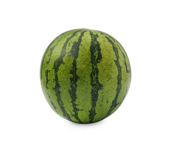 One Whole Ripe Watermelon Isolated White — Foto de Stock