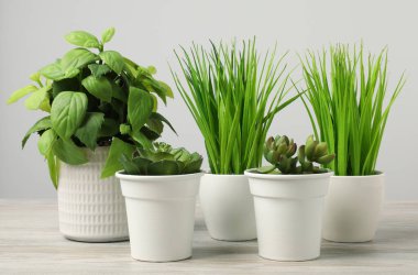 Tahta masadaki saksılarda, açık gri arka planda birçok farklı yapay bitki var.