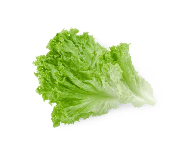Een Groen Sla Blad Geïsoleerd Wit Saladegroenten — Stockfoto