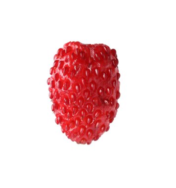 Bir olgun yabani çilek beyazda izole edilmiş.