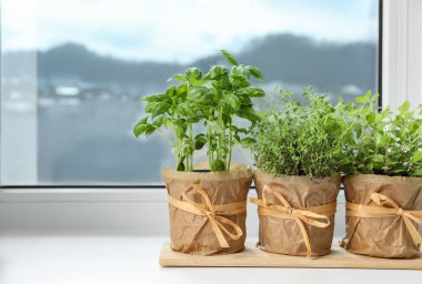 Pencere pervazında farklı taze otlar var. Metin için boşluk