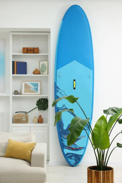 SUP board, shelving unit with different decor elements and green houseplant in room. Interior design