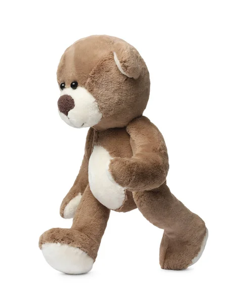 Cute Teddy Bear Walking White Background — Stock Photo, Image
