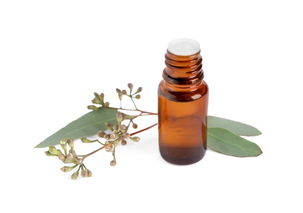 Eine Flasche Ätherisches Eukalyptusöl Und Pflanzenzweig Auf Weißem Hintergrund — Stockfoto