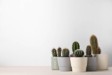 Bej masadaki saksılarda farklı kaktüsler, metin için yer