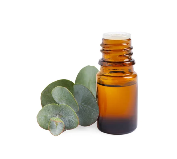 Eine Flasche Ätherisches Eukalyptusöl Und Pflanzenzweig Auf Weißem Hintergrund — Stockfoto