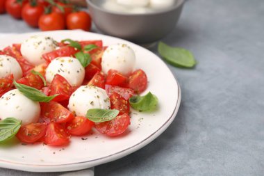 Domatesli Caprese salatası, mozzarella topları ve gri masada fesleğen, yakın plan. Metin için boşluk