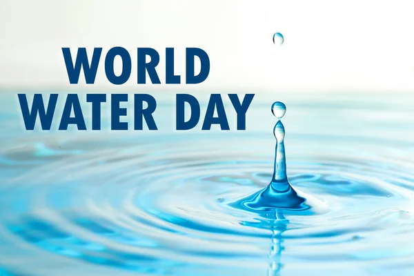 Text World Water Day Splash Clear Water Drops — Stock Photo, Image