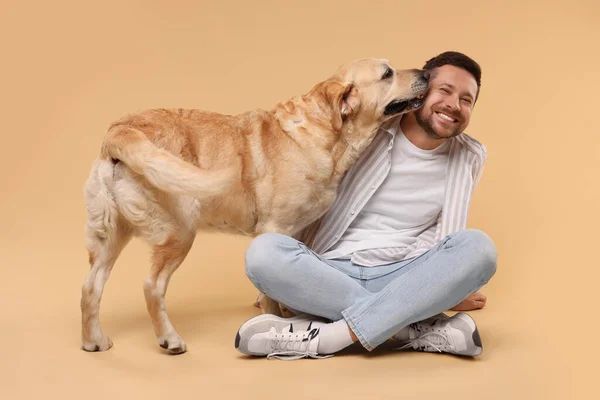 愛らしいラブラドールを持つ男ベージュの背景に犬を取得します 可愛いペット — ストック写真