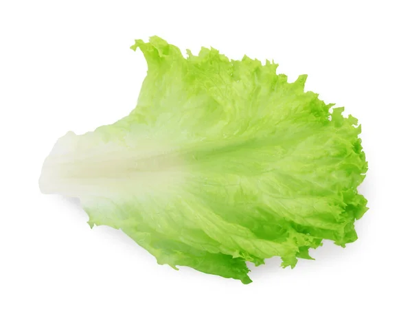 Folha Alface Fresca Isolada Branco Vista Superior Verduras Salada — Fotografia de Stock