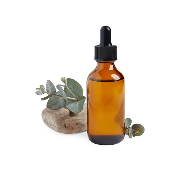 Eine Flasche Ätherisches Eukalyptusöl Stein Und Pflanzenzweig Auf Weißem Hintergrund — Stockfoto