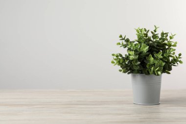 Ahşap masadaki saksıda, açık gri arkaplan üzerinde güzel yapay bitki, metin için alan