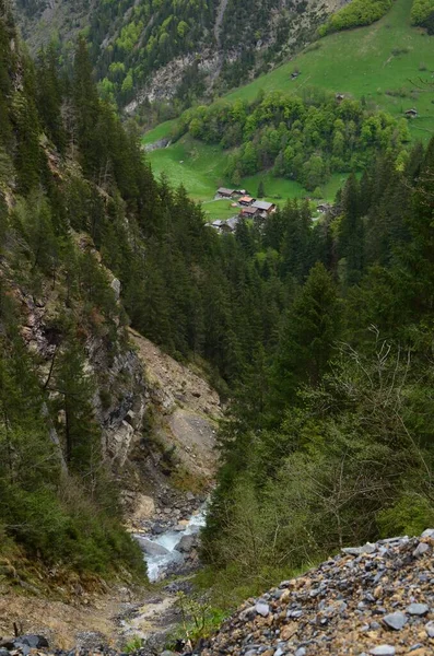 Malerischer Blick Auf Nadelwald Und Tal Den Bergen — Stockfoto