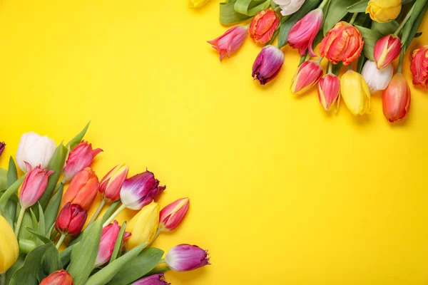 Hermosas Flores Tulipán Colores Sobre Fondo Amarillo Disposición Plana Espacio — Foto de Stock