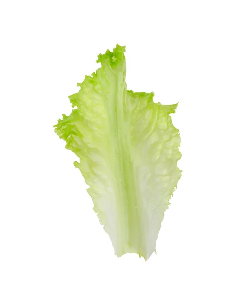 Ett Grönt Salladsblad Isolerat Vitt Salladsväxter — Stockfoto